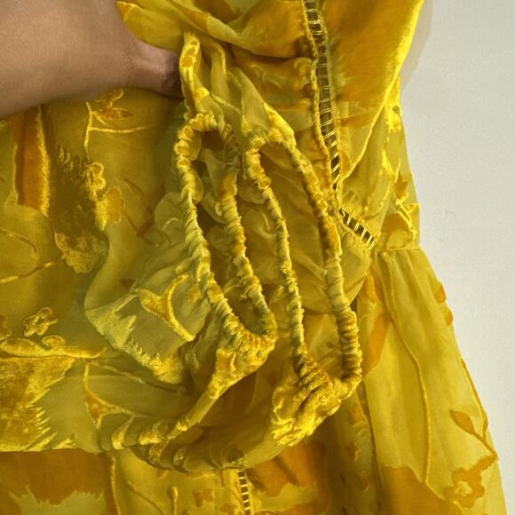 Meadow Rue Sheer Velvet Burnout Blouse 2 Gold Floral Peasant Anthropologie Sz 4 - Picture 8 of 10